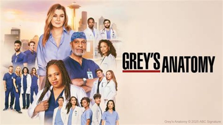 Discover The Real Name Behind Alex In Grey's Anatomy