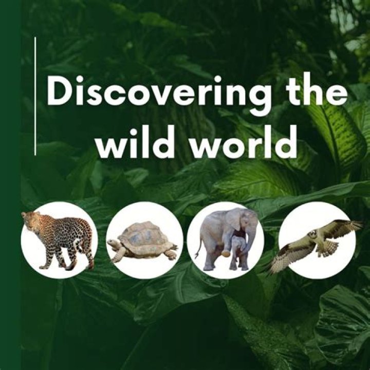 Discovering The Wild: The New Naked And Afraid 2024 Adventure
