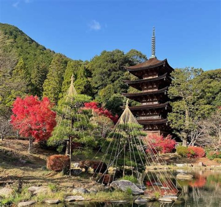 Exploring The Art Of Hashi Ouchi: A Cultural Journey