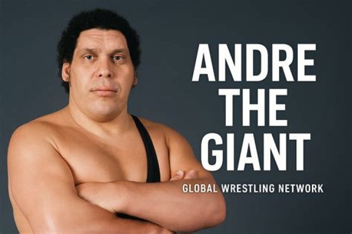 Exploring The Legacy And Wealth Of André The Giant
