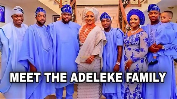 Exploring The Wealth Of The Adeleke Family: Who Is The Richest Adeleke?