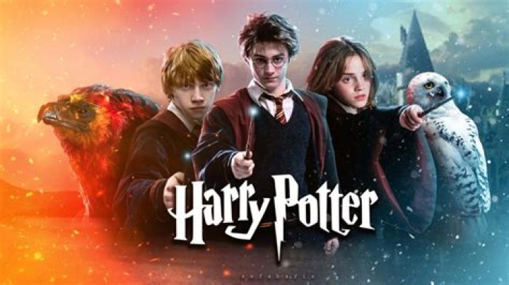 Lorenzo Zurzolo: The Rising Star Of The Harry Potter Movie Universe