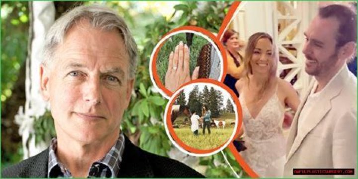 Meet Mark Harmon's Ex-Wife: A Journey Through His Past Relationships