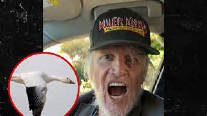 Unraveling The Mystery: Is Gary Busey Married?